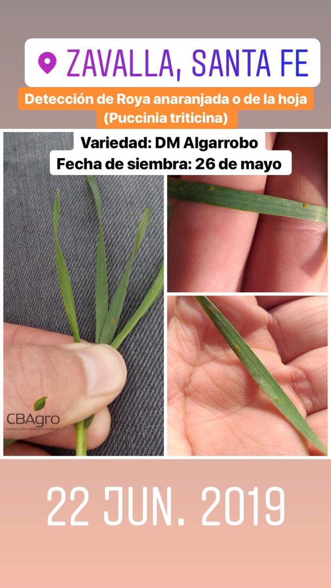 Pablo Angelotti (@pabloangelotti) on Twitter photo 