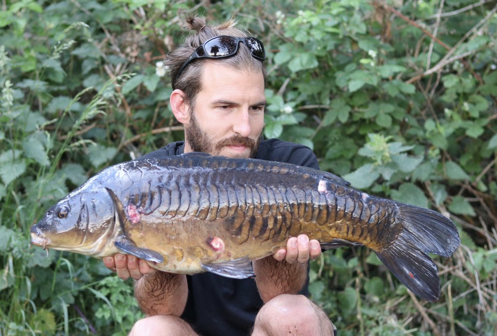 Rowe_26's tweet image. A few recent captures from some after work sessions 🙌🏻

#MainlineBaits #AtomicTackle #NoHype #IBspecials