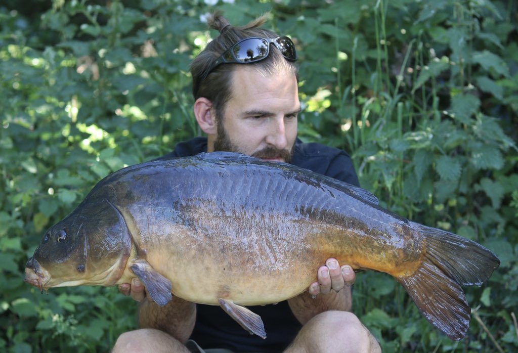 Rowe_26's tweet image. A few recent captures from some after work sessions 🙌🏻

#MainlineBaits #AtomicTackle #NoHype #IBspecials