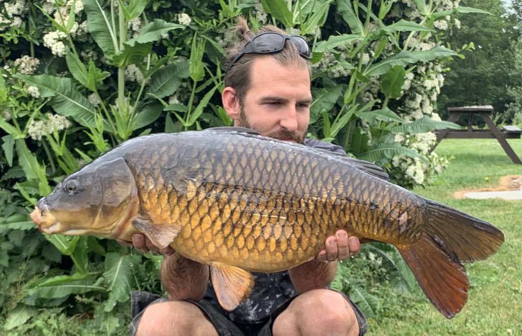 Rowe_26's tweet image. A few recent captures from some after work sessions 🙌🏻

#MainlineBaits #AtomicTackle #NoHype #IBspecials