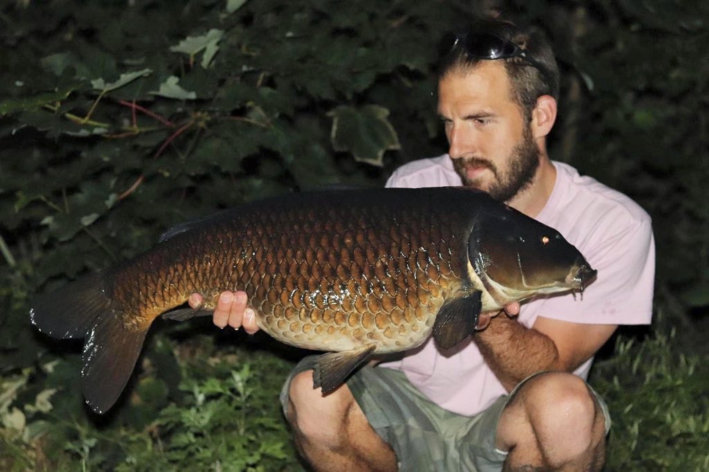 Rowe_26's tweet image. A few recent captures from some after work sessions 🙌🏻

#MainlineBaits #AtomicTackle #NoHype #IBspecials