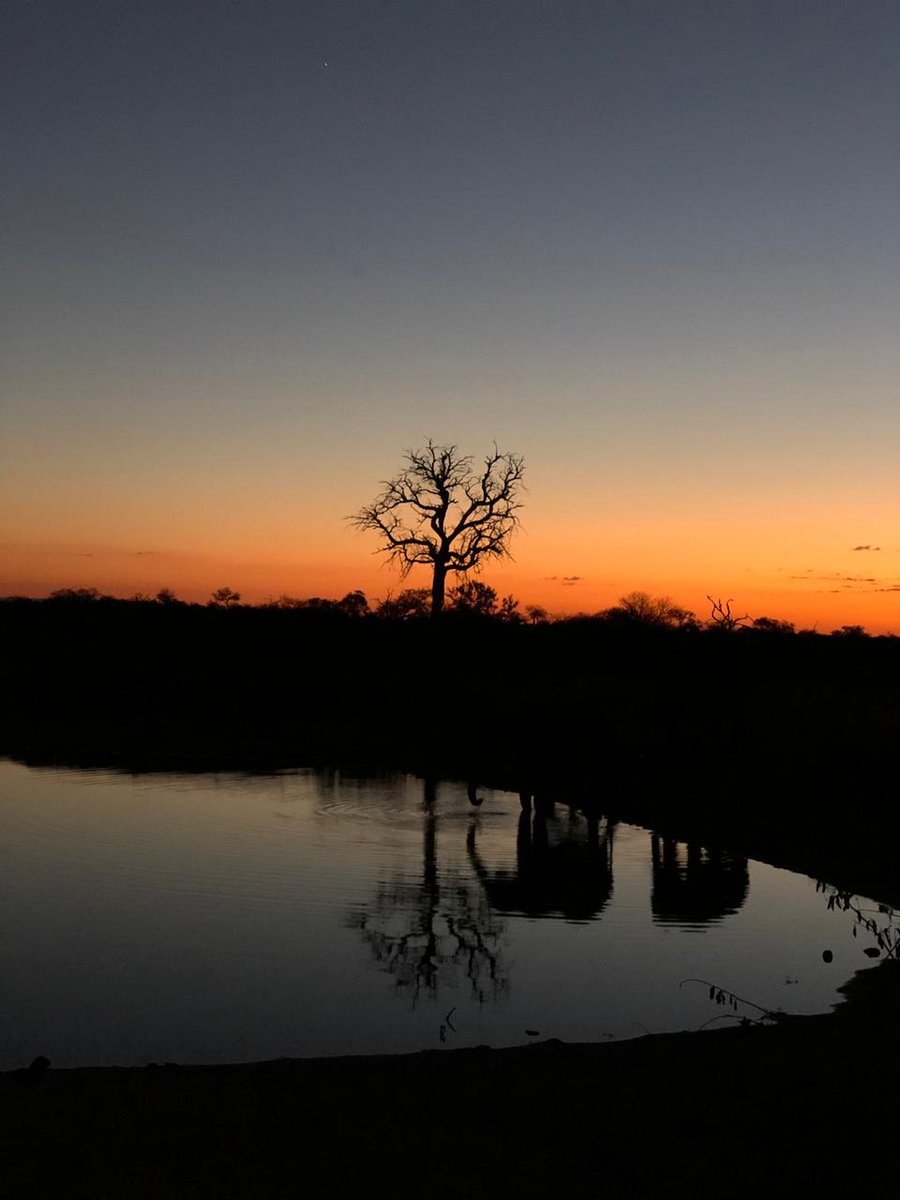 BrettHorley's tweet photo. A #silhouette #reflection at #sunset in the magic Greater #KrugerPark. #Adventuresontheafricancontinent #bretthorleysafaris #timbavati https://t.co/7c8YzfsdRu