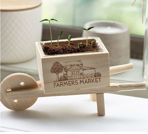 ForwardPromo's tweet photo. Wooden Wheel Barrel Blossom Kit.  Seriously #cute !!!  Call or text today:  612.388.0189
#PromotionalProductGuru #swagtime #ThinkSpring https://t.co/4FREbRjujH