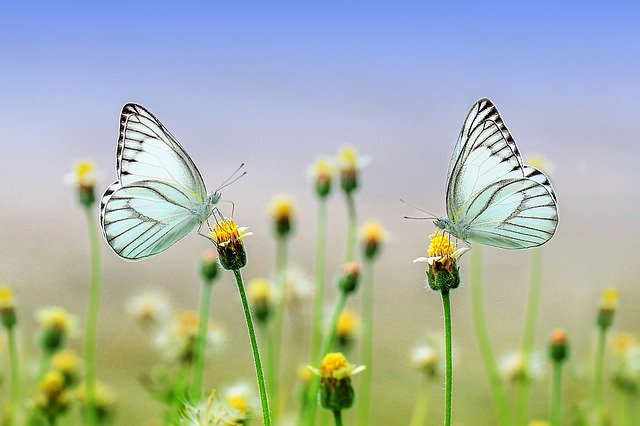 loveworkmore's tweet photo. More great insights from Marcus Aurelius - If you seek tranquillity, do less, do what’s essential, because most of what we say and do is not essential. If you can eliminate it, you‘ll have more time, and more tranquillity. Ask yourself at every moment, ‘Is this necessary?’ https://t.co/1z2V1um8GI