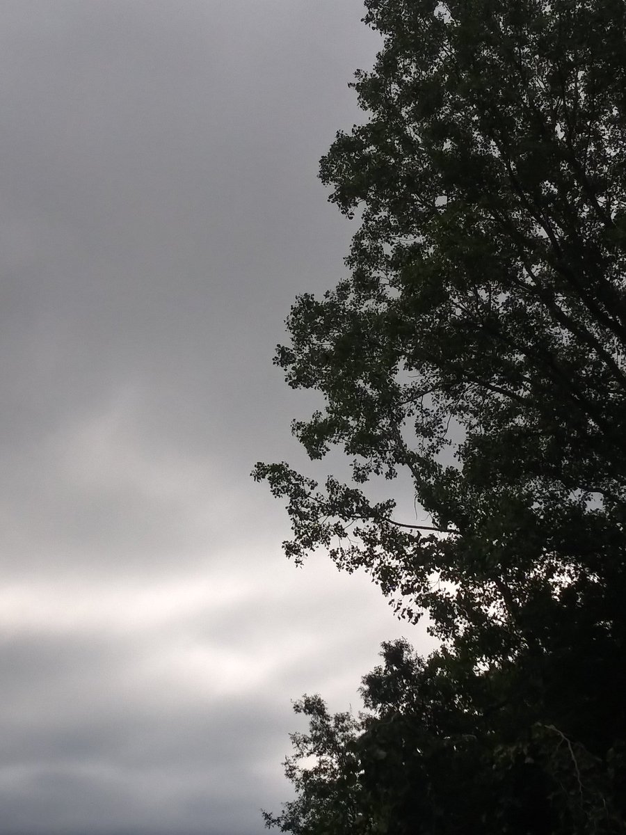 N8VTootie's tweet image. And just like that......Summer was over 😞
#MichiganProblems