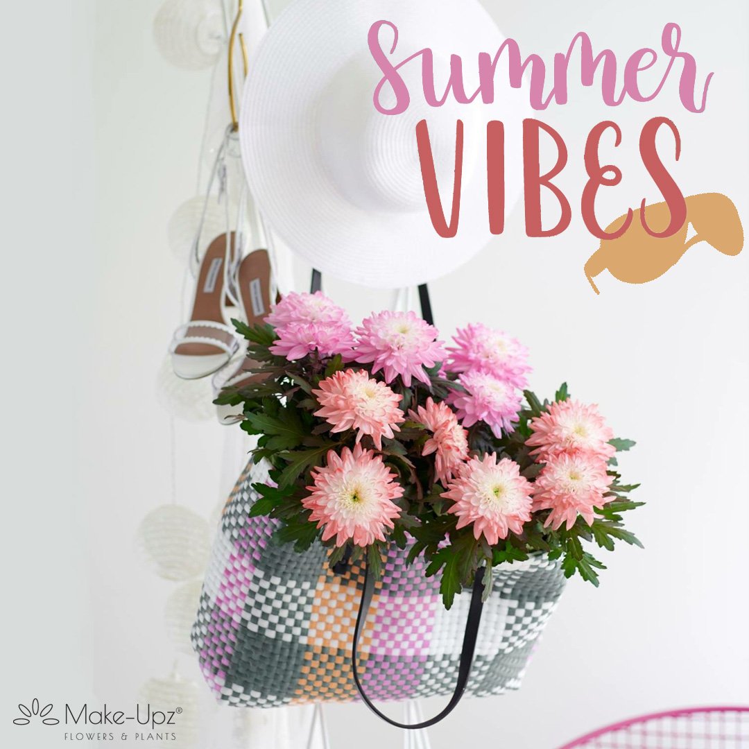 Summer Vibes ☀️⛱ 

Chrysanne Zembla 13cm Make-Upz® Red &amp; Pink

by <a href="/Lionplant/">Hans van Leeuwen</a>
#summer #vibes #sun #hot #temperature #flowers #nature #beach #sunglasses #sun-hat #bluesky #chrysanne #zembla #makeupz #red #pink