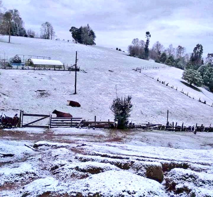 2016cruce's tweet photo. #Valdiviacl Usuarios nos reportan caída de #Nieve en sectores #Lasalturas y #Huichaco en comuna #Mafil @Prensamariquina @LancoPrensa @prensapaillaco @2016cruce #panguipulli #lanco #sjmq #loslagos #paillaco #launion #futrono #lagoranco #riobueno #losrios #Mariquina #elranco https://t.co/TAMmHyAhUF