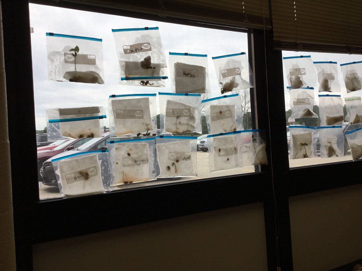 sinkmann87's tweet photo. #sdwsummerschool
Crazy science at Heyer https://t.co/Zm70p8vVxp