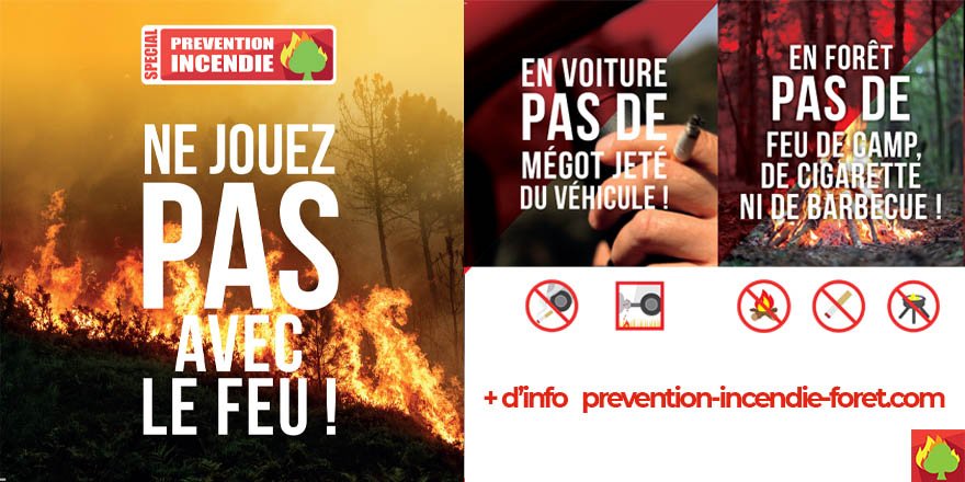 #canicule : les bons gestes qui épargnent nos forêts , pensez y tout l'été avec des comportements adaptés! + d'info sur prevention-incendie-foret.com