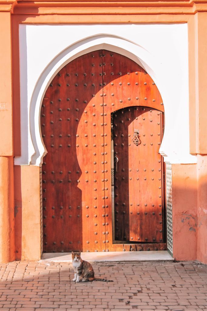eatlivetraveldr's tweet photo. Doors of #Marrakech - I loved visiting #Morocco and finding all the doors in the Medina - they were all so different and beautiful! #travel #ttot  --> https://t.co/YqwrcOPues https://t.co/bE3dWuHb7R