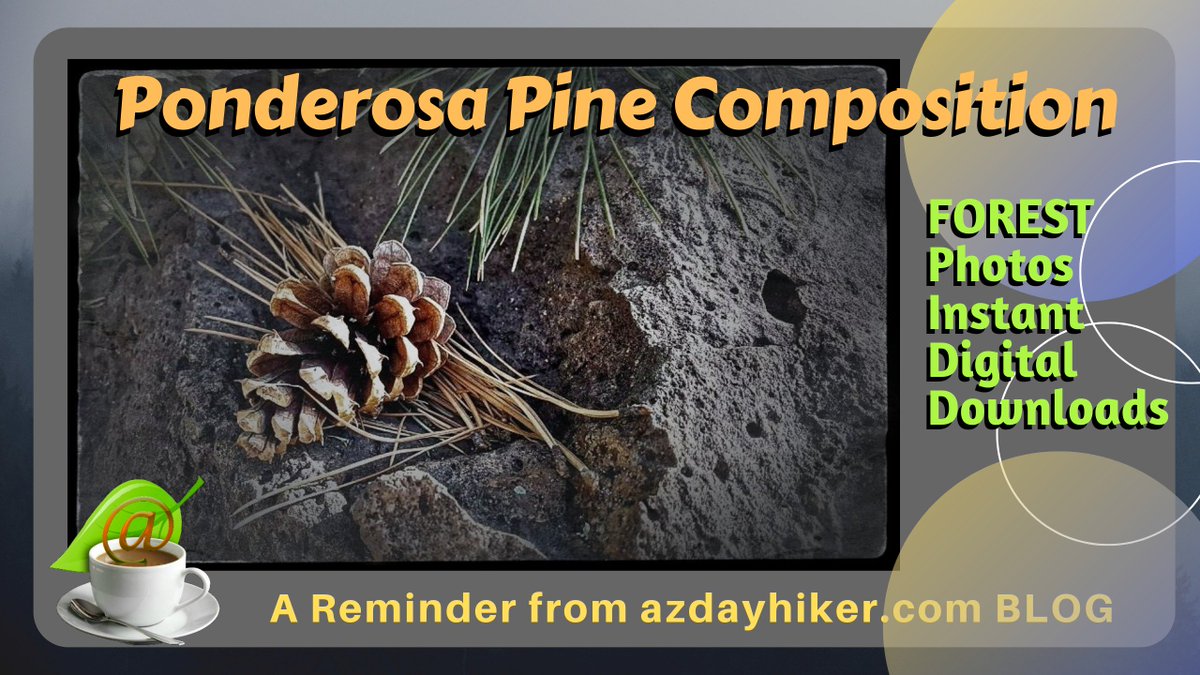 nazstuff's tweet image. Sometimes Nature provides the perfect composition, lighting, texture and components. Here on this large basalt boulder representative parts of the Ponderosa Pine tree are laid out for anyone to see.Find the images you need from anywhere!  bit.ly/2YppAkC