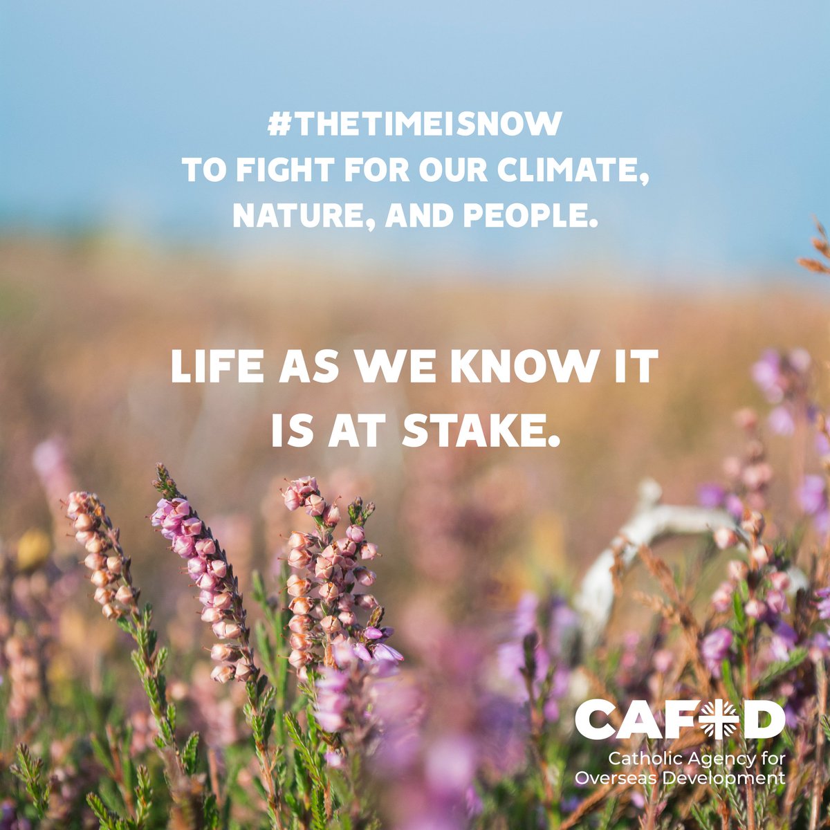 CAFOD's tweet photo. Life as we know it is at stake.

We can be the generation to speak up. The future we want to see, begins here, with us. #TheTimeIsNow https://t.co/80cHgGBRh7