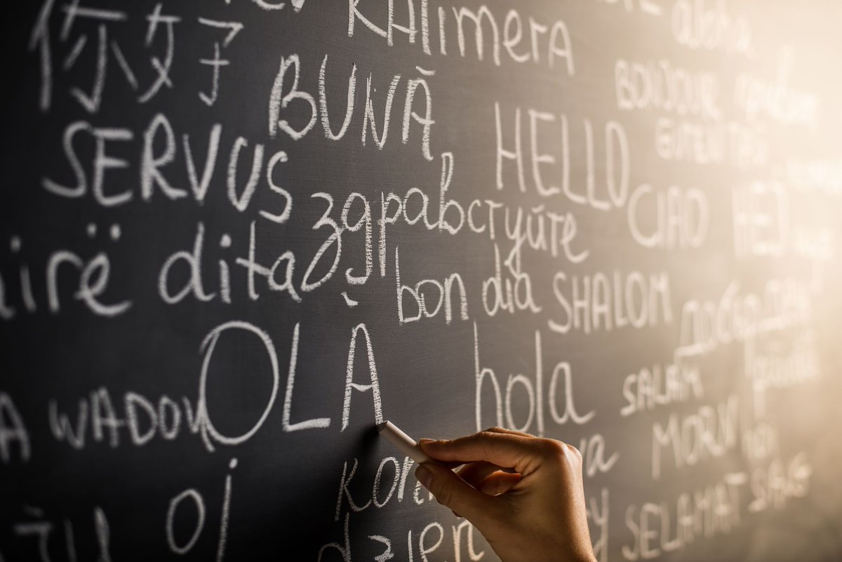 IBAlumniNetwork's tweet photo. At what point can you claim to truly speak a language? Berit Braun shares her thoughts on the matter and encourages students to think beyond just language requirements during their quest for fluencyโhttps://t.co/i2ahHAqBS8 https://t.co/VgHYkQldcv