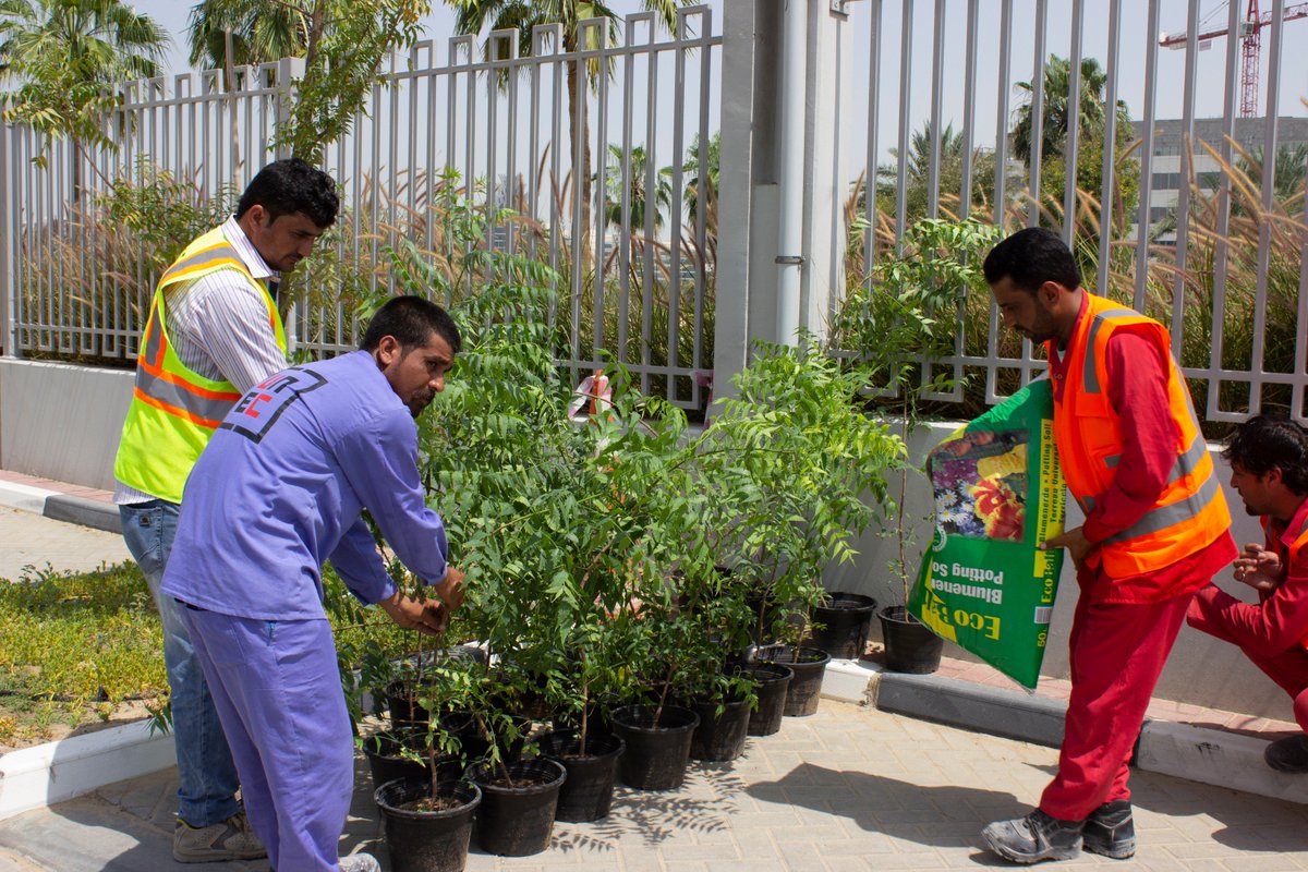 unec_co's tweet photo. Most of the ingredients for a healthy and fulfilling existence come to us from nature.Therefore, we are committed in investing our time and efforts on things that truly matter. Today, #TeamUNEC joins forces with #DSO Authority to plant trees in celebration of #WorldEnvironmentDay https://t.co/sEBxv5K7Yg
