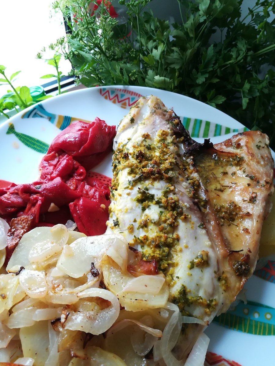 healthy_wild's tweet photo. Lunes de trabajo + entreno en ayunas.
Acabo de terminar mi ¿desayuno? Dorada al horno con riquísima guarnición #ayunointermitente #cocinaloquecomes #nutrimenu #menuorg #lowcarb #almidonresistente https://t.co/jYVZh3QkVR