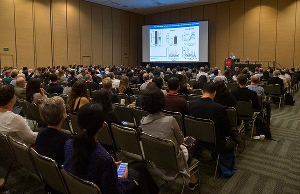 ADA_DiabetesPro's tweet image. Did you attend #ADA2019? Complete your online evaluation by July 5, 2019 to obtain CE credits from the meeting: bit.ly/2zpkJG4