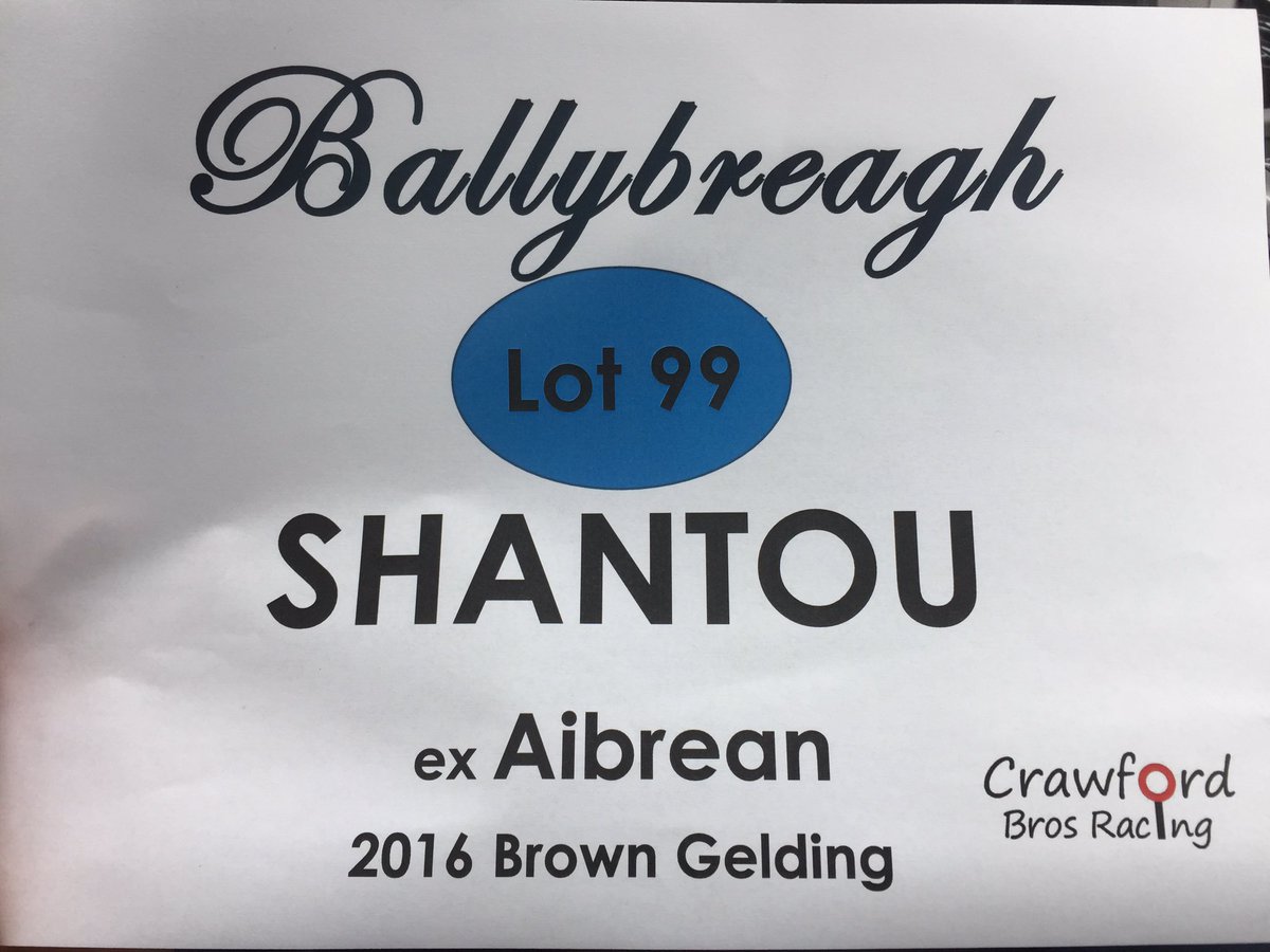 This week we have our first sales consignment from Ballybreagh at Tattersalls Derby Sale and what a cracker he is!! Lot 99 - 3yo, gelding by Shantou, ex Aibrean