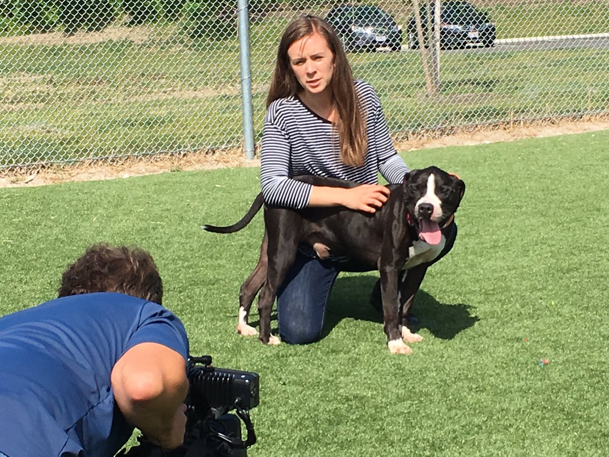 The #CLE kennel is full. Learn more about how you can adopt a <a href="/CityDogsCLE/">City Dogs Cleveland</a> like Riku here in <a href="/wkyc/">WKYC 3News</a>’s story