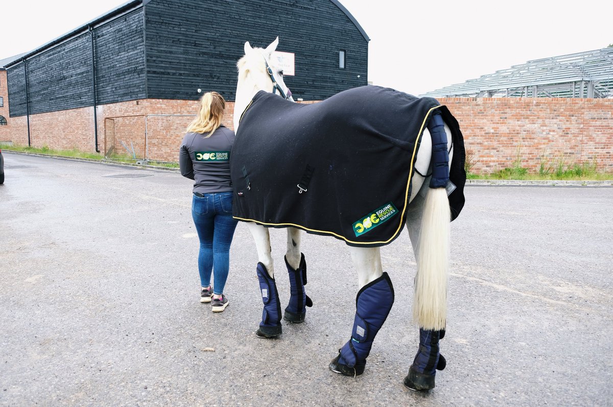 We FINALLY have some warmer weather! please remember to have water on your lorries when travelling with your horses! you never know when you my need it!