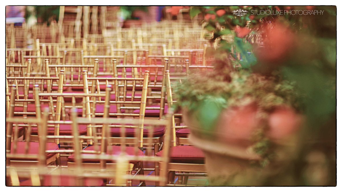 studioluxeus's tweet photo. pacific-palm-resort-wedding-engagement-photographer
#PacificPalmResort #wedding #engagement #photoshoot #photographers https://t.co/kzmZVeBNAq