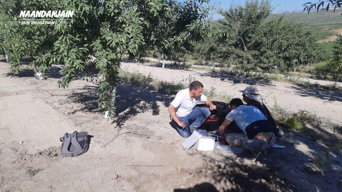 RivulisOfficial's tweet photo. Spreading the word : #Root_Sense installation around the world

#Almond_orchard in the heart of Jaen province, #Spain - Root Sense Units were installed - letting the farmer know what the Almond trees's roots Feel and Need at any given moment!

 https://t.co/88cJg7B6fJ https://t.co/aGOtnl1M6D