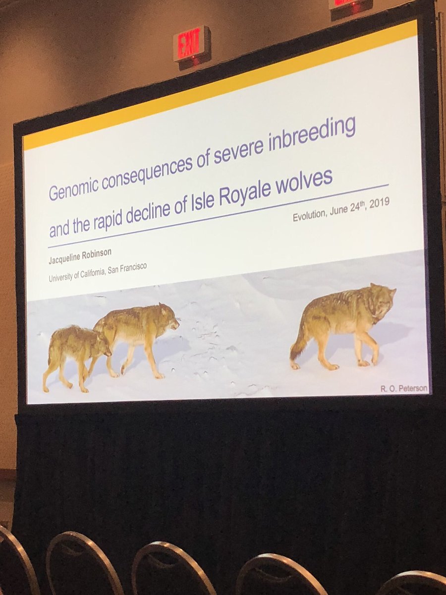 _AshleyRosinski's tweet photo. Great talk! There are numerous opportunities to tie this research in with the middle school science curriculum #Evol19 #RETevolution https://t.co/c6DNzBVpmg
