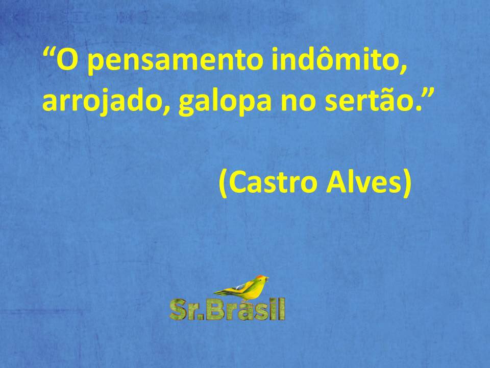 srbrasil's tweet photo. 📺🇧🇷🐥 Boa Semana 🙏🏻 #srbrasil #rolandoboldrin #boasemana #brasil #programasrbrasil #tvcultura #artesanatosustentavel #musicabrasileira #sescpompeia #musica https://t.co/K4u9VOKRQG