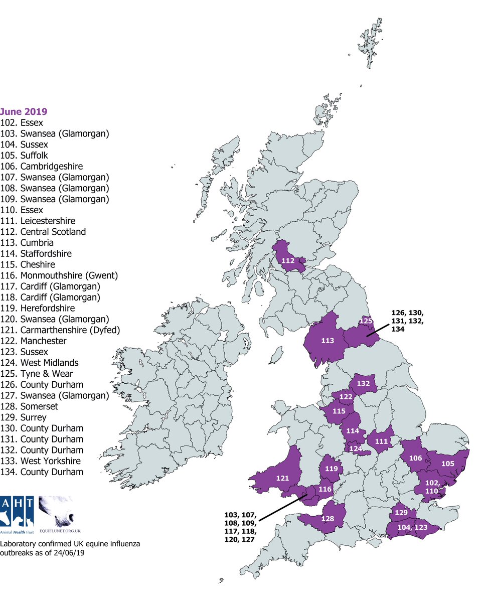 equiflunet's tweet photo. June 2019: #equineflu confirmed in County Durham. More details at https://t.co/7pix1EbMSj shortly. https://t.co/qpDtL8Iw8l