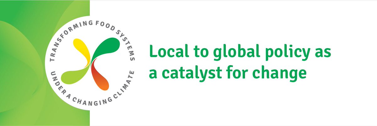 CGIARclimate's tweet photo. 📅 Join us tomorrow at a #SB50 event co-hosted by @Cipotato @CARE & @CTAflash We’re launching a new report, ‘Local to global policy as a catalyst for change’, w/ keynote from lead author @tonyarawe: https://t.co/5hfHYn8oc7 #TransformAgPolicies #AgTransform https://t.co/kQR1E3izSx