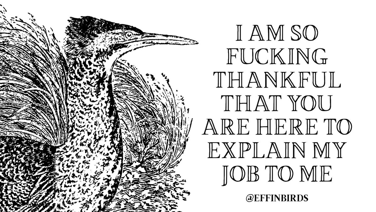 EffinBirds's tweet photo. https://t.co/Bfrnz2ECXr