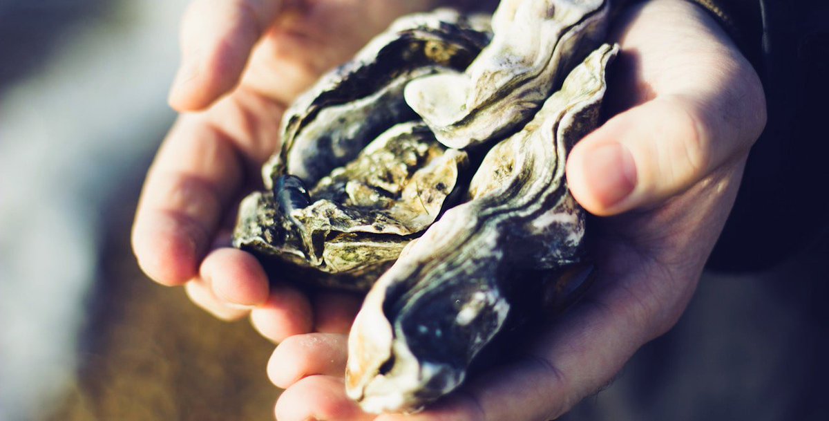 internetsociety's tweet photo. The Internet is your oyster: @Ryan_ISOC previews #MANRS at #ITW2019 this week https://t.co/GZSc4S7auI Ryan is speaking about MANRS today at 3.30pm EDT (19:30 UTC) https://t.co/SlK1WsTofx