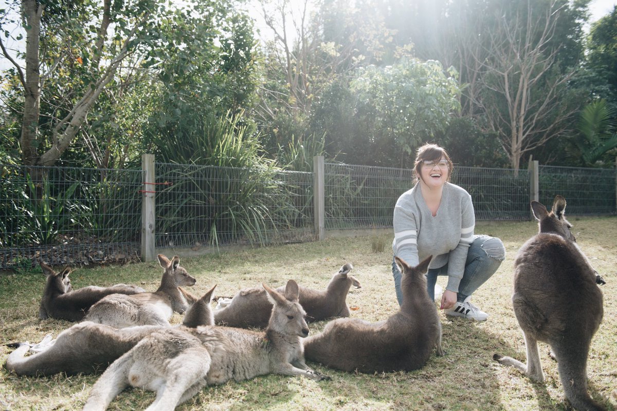 My visit to <a href="/symbiozoo/">Symbio Wildlife Park</a> is up on the blog today. Come check it out! 💚 lynzijudish.com/2019/06/24/sym… #australia #Kangaroo #visitaustralia <a href="/Australia/">Australia</a>