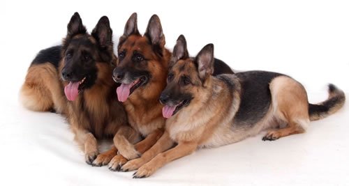 MyCreativeEdge tweet media