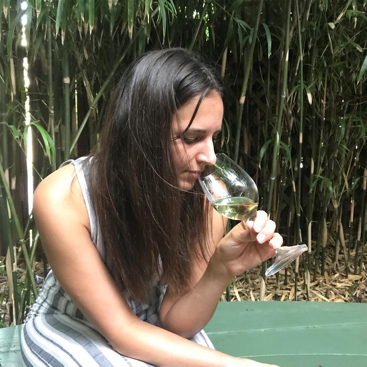 AltoAdigeWines's tweet photo. Today we’re being taken over by Advanced Sommelier and Founder of Wonder Women of Wine Conference Rania Zayat of Austin, TX! Stay tuned to our stories on Instagram to hear more about Alto Adige from her perspective. #AltoAdigeWines #GetSomm #sommelier #italianwine https://t.co/03VcCtjxtd