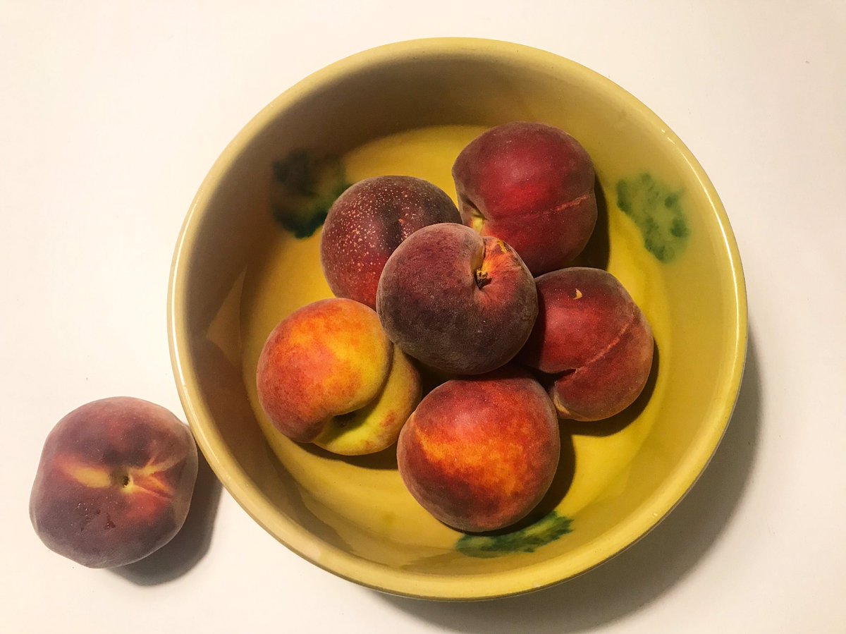 Tota la cuina fa olor de préssec (de Sant Pau d’Ordal, és clar) 🍑

🧡 <a href="/EsteveRafols/">Família EsteveRàfols</a> <a href="/MireiaEsteve/">Mireia Esteve</a>