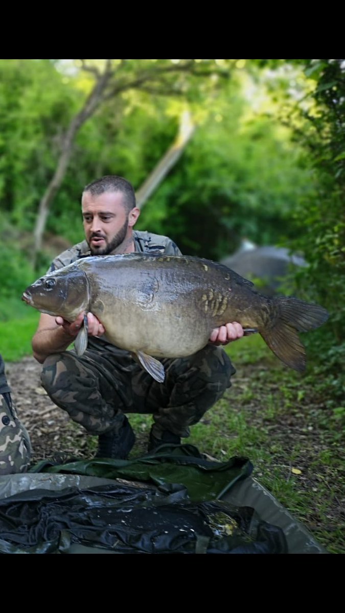 woodylee84's tweet photo. Finally got the rods out Saturday couple of hours in boom 💥 31.5 another target 🎯 ticked off the list🎣🎣🎣 https://t.co/Ovq5555f6h