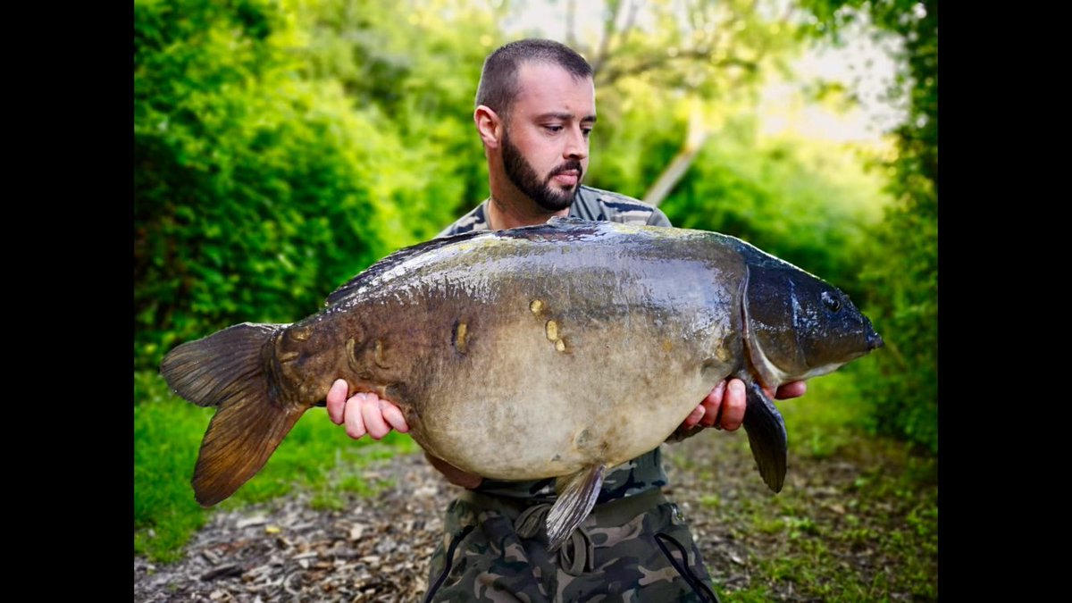 woodylee84's tweet photo. Finally got the rods out Saturday couple of hours in boom 💥 31.5 another target 🎯 ticked off the list🎣🎣🎣 https://t.co/Ovq5555f6h