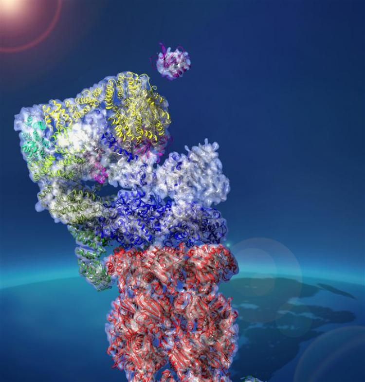 read Adhesion-GPCRs: