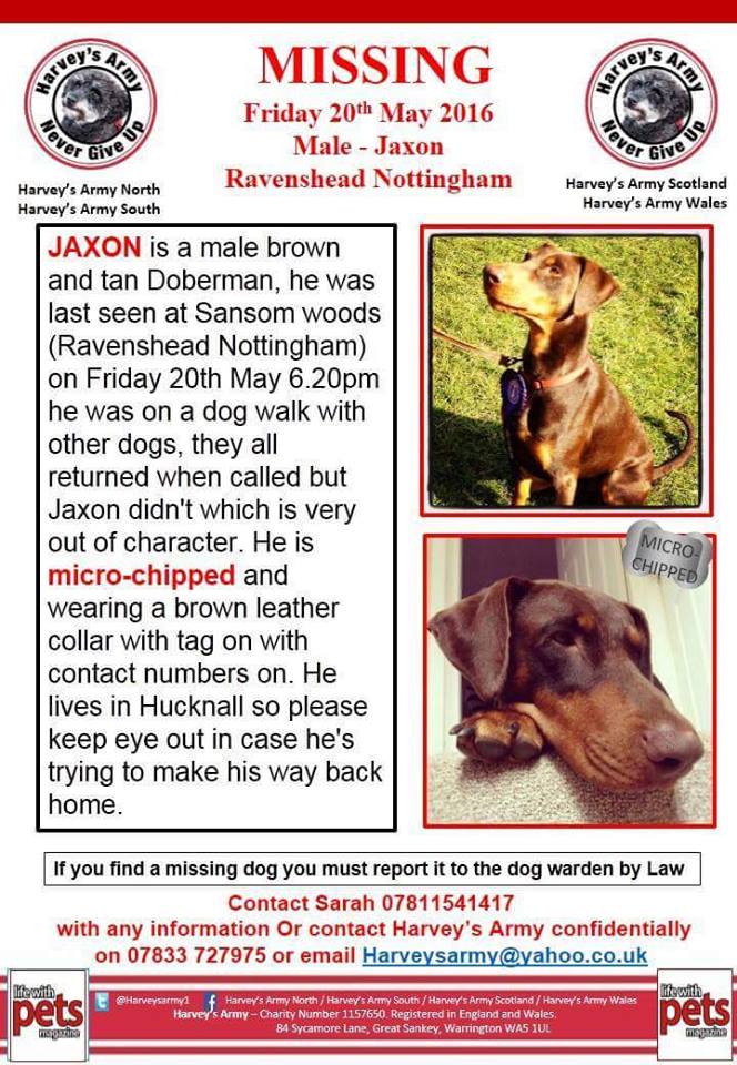 #findjaxon a brown and tan male #doberman.#missing since 2016 from Samson Woods #Nottingham.Dobermans arent everyones kind of dog so who do you know that acquired a new dog like Jaxon in  or after May 2016?