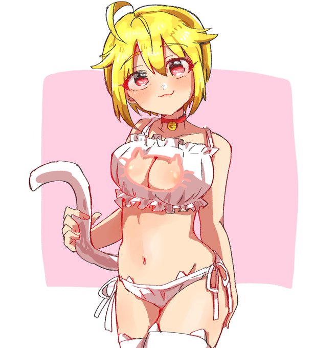 翼と古に流行ったねこランジェリー 