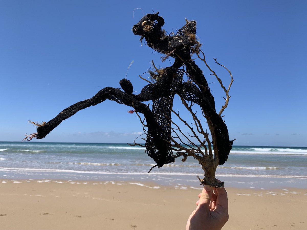 PINK SEA FAN tweet media