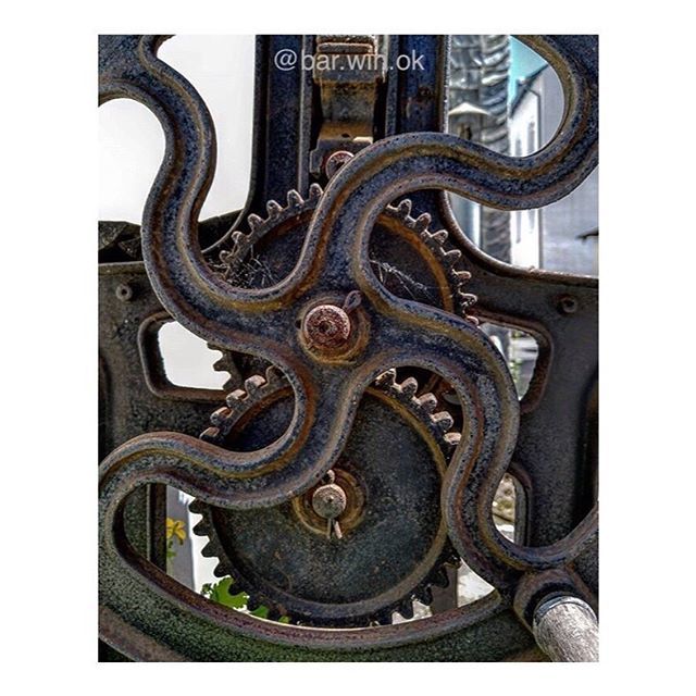 Sibilcita's tweet photo. Octopus in machinery. #regram! It‘s @bar.win.ok . Go see his gorgeous feed! Great captures of his finds (the finds themselves, plus camera angle, framing) and - #taglessness! All captures very worthy to be seen. (Framing of his 4x5-shots and his handle b… https://t.co/mtL2UTmUtB https://t.co/qXx8G7oRXa