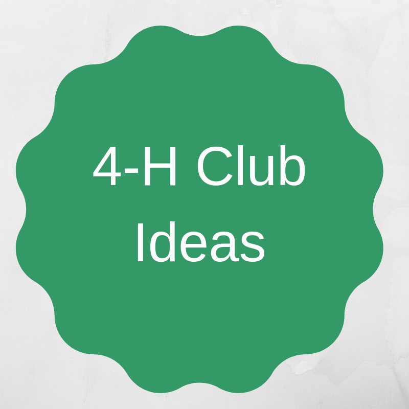 HeatherCKent's tweet photo. 4-H Club Leaders- if you are on Pinterest, check out this new board just for you! Resources to make your club meetings great (officer training, service learning, curriculum, record book helps, etc). #TrueLeaders #4HGrown #EME6414 https://t.co/2zqRvEjXUo. https://t.co/SoHyO6hyn9