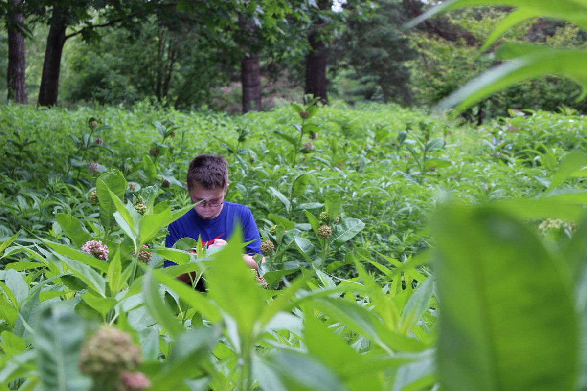 SLUHUpwardBound tweet media