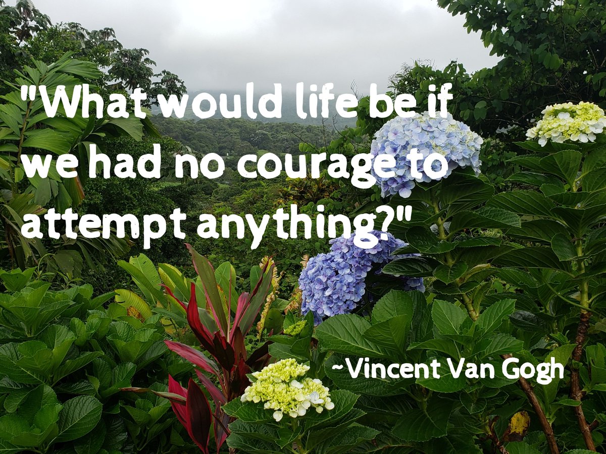 PlumbTalkVideo's tweet image. &quot;What would life be if we had no courage to attempt anything?&quot; ~Vincent Van Gogh

#freetostart #courage