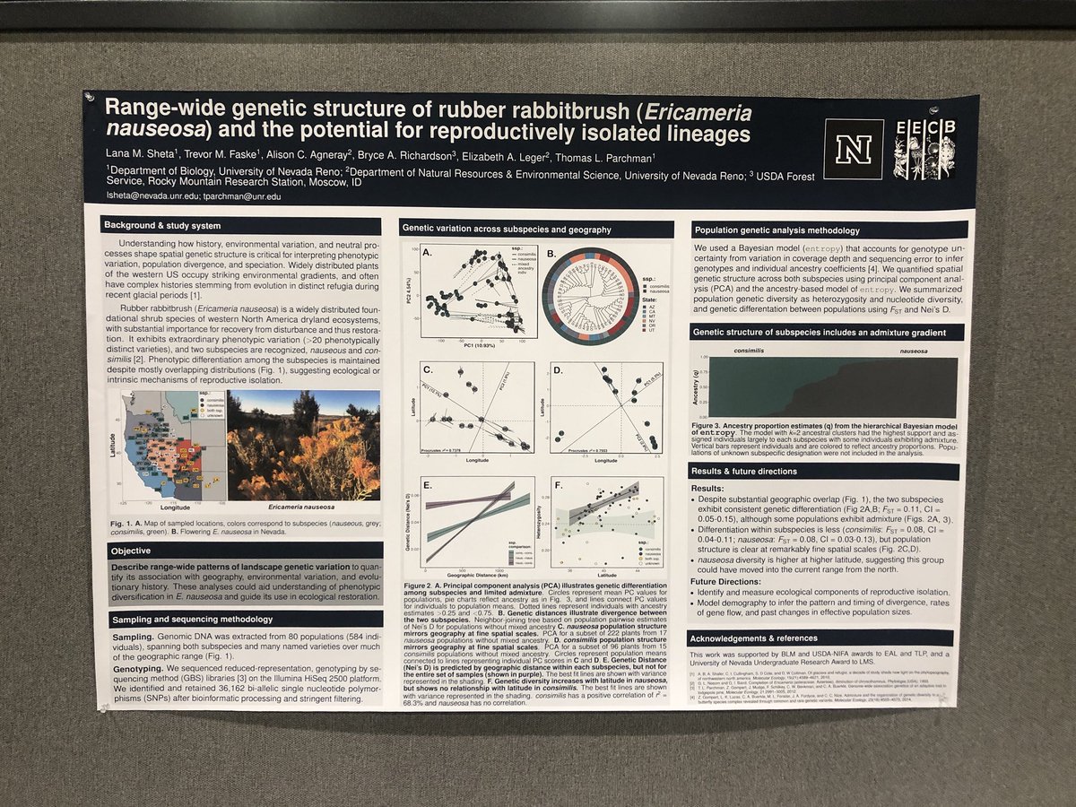 TrevorFaske's tweet photo. @LanaSheta's poster up and ready for the session tonight! Check it out #Evol2019 https://t.co/tvMNGDXye1