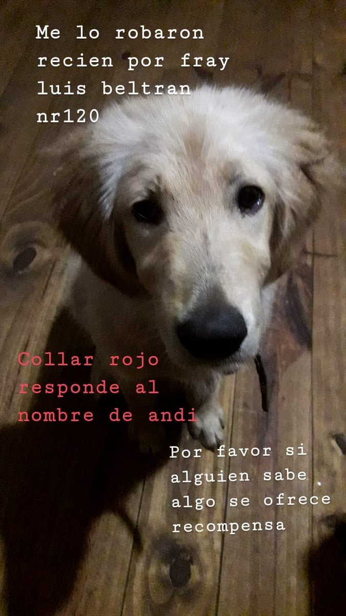 LucioSanchez33's tweet photo. Si pueden compartir🙏 https://t.co/9eCEGq3J9L