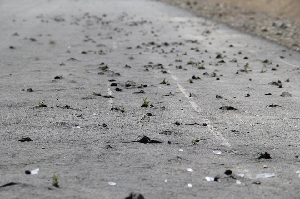 Бондын мөнгийг хувааж идэж Монголд Их өр үлдээсэн АН МАН-ны "бүтээн байгуулалт" буюу Говь-Алтай аймагт пицца шиг нимгэн цементээс цэцэг ургав. gej bn shu