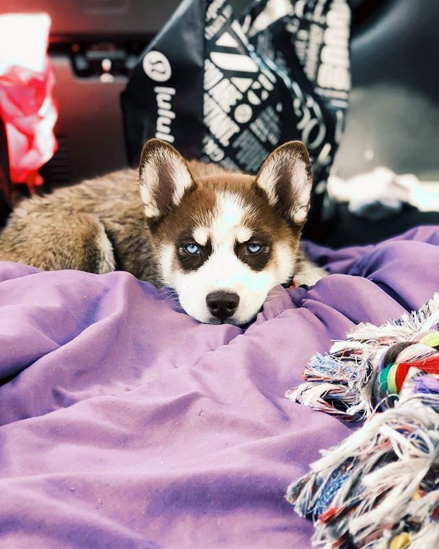 Siberiian's tweet photo. mood.. https://t.co/5PTC7NLHk6