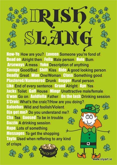 ISADUBLIN's tweet photo. How much Irish slang do you know?! Did you learn it when you arrived in Ireland or before your arrival? Let us know below!! 🍀
•
#study #studentaccommodation #academicyear #summer19 #summer2019 #welcomeireland #accommodation #Templebar #livingdublin #irish #slang #irishslang https://t.co/MklAnnGMg6